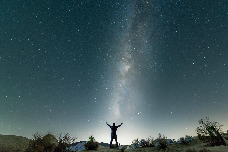 Cosmic Guidance What Your Daily Horoscope Can Reveal About You